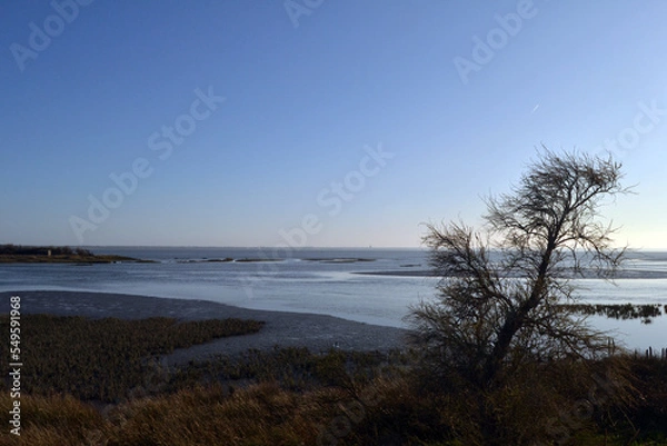 Obraz domaine de Certes