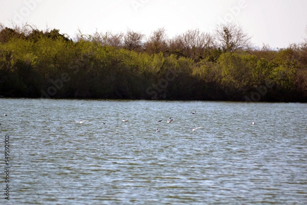 Obraz domaine de Certes