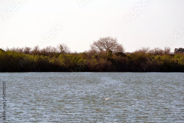 Obraz domaine de Certes