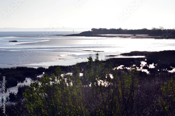 Obraz domaine de Certes