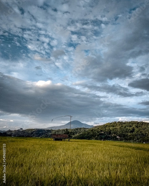 Obraz A natural blend of rice fields and mountains in Sumedang, West Java, Indonesia