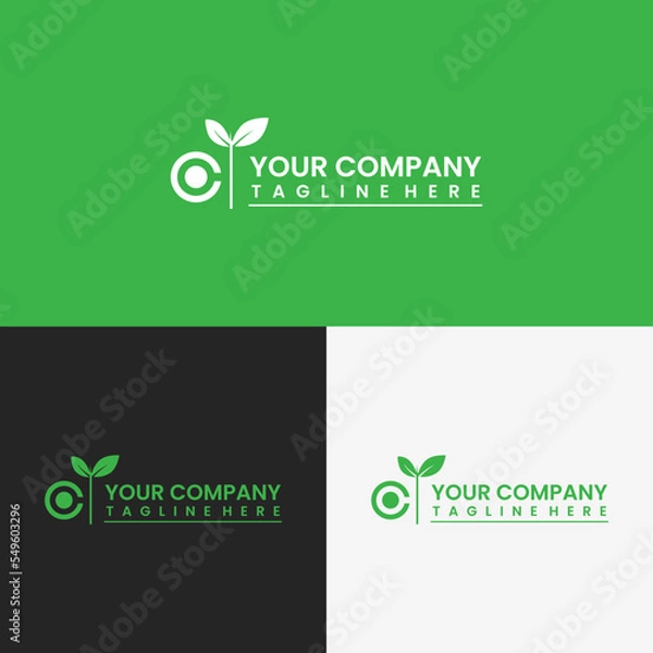 Fototapeta Abstract your company branding logo, with a green leaf icon