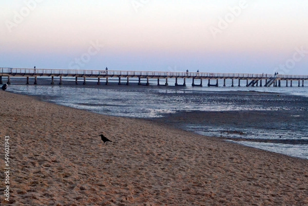 Obraz Andernos les bains