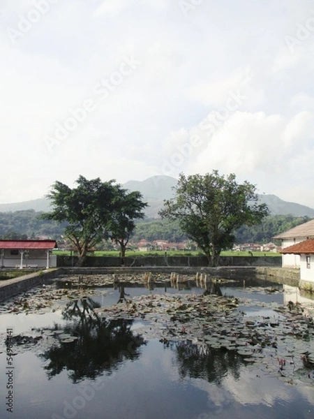 Obraz Footpath and trees with rice fields and mountains in the background. Sumedang, West Java, Indonesia