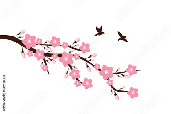 Obraz Cherry blossom branch with sakura flower Wall decoration Concept. Bird on branch wall decoration sticker design vector illustration