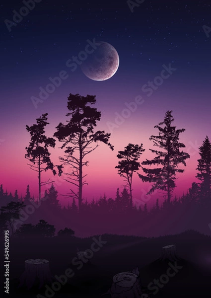Fototapeta Dawn in the forest. Vector illustration of a landscape of early dawn in a pine forest. Sketch for creativity.