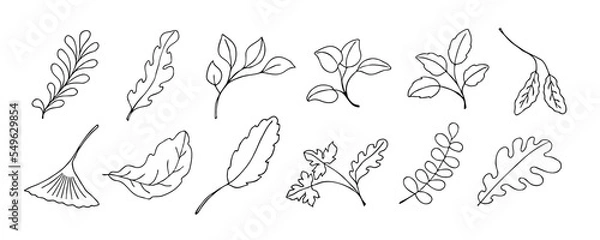 Fototapeta Leaves vector sketch set. Hand drawn decorative elements