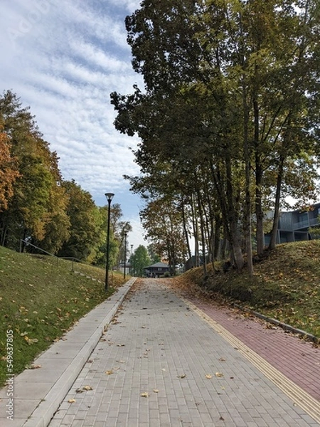 Obraz path in autumn town