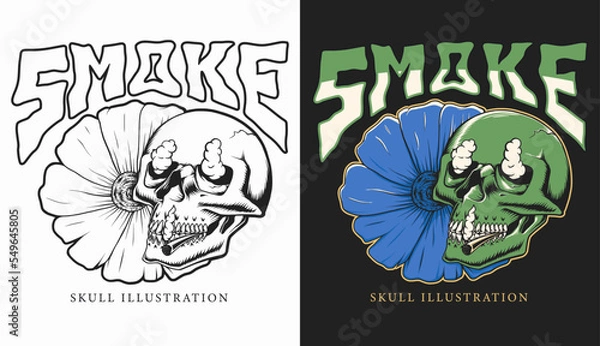 Fototapeta Smoke skull set design vector illustration