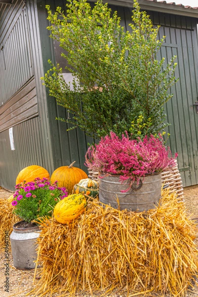 Fototapeta Herbstbilder
