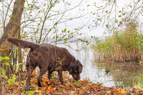 Fototapeta Herbstbilder