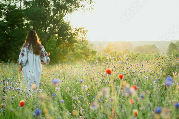 Obraz Woman walks in cornflower meadow scenic photography. Field in bloom. Picture of lady with beautiful nature on background. High quality wallpaper. Photo concept for ads, travel blog, magazine, article