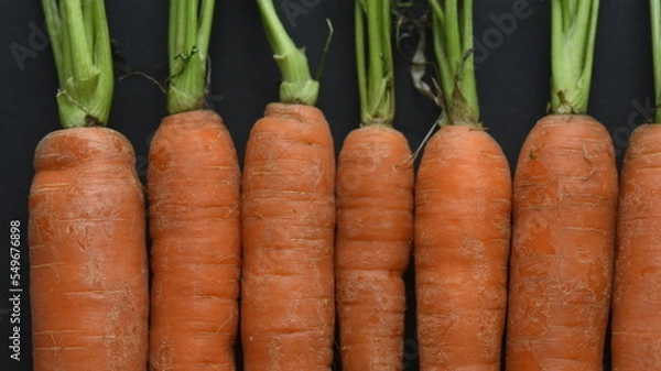 Obraz Carrots on black background