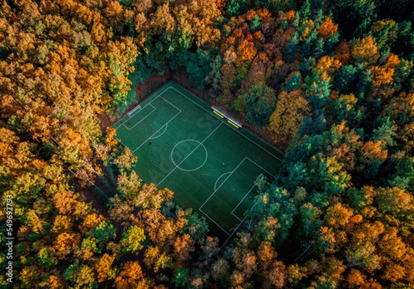 Obraz Aerial image. Football field in the autumn forest.