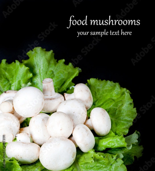 Fototapeta mushrooms on green lettuce leaves