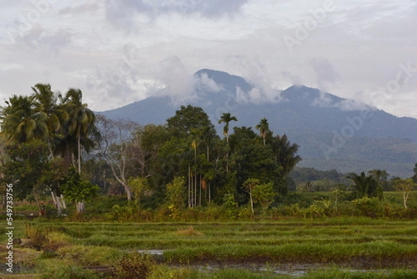 Obraz clouds over the mountains