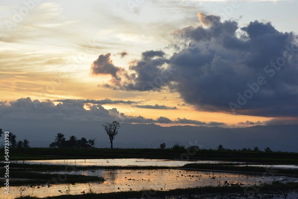 Obraz sunset over the river
