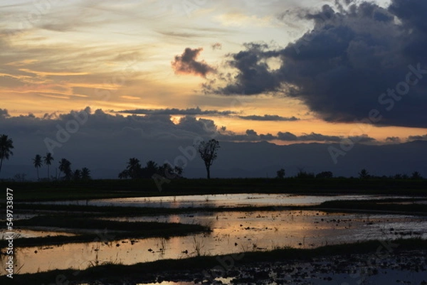 Obraz sunset over the lake