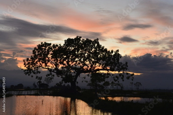 Obraz sunset over the river