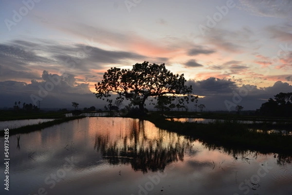 Obraz sunset over lake