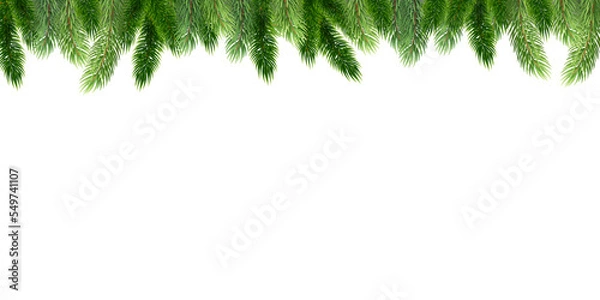 Obraz Fir leaves with transparent background