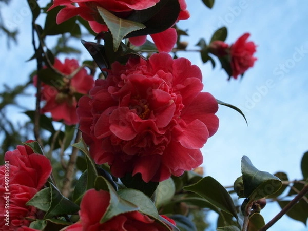 Obraz OLYMPUS DIGITAL CAMERA