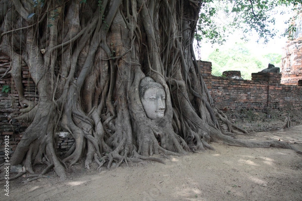 Fototapeta ワットマハータートの仏頭