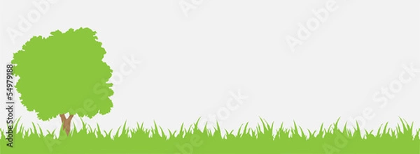 Fototapeta Zielona trawa drzewna