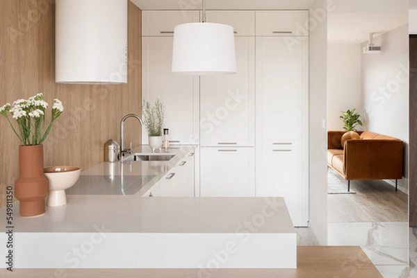 Obraz Small and modern white kitchen