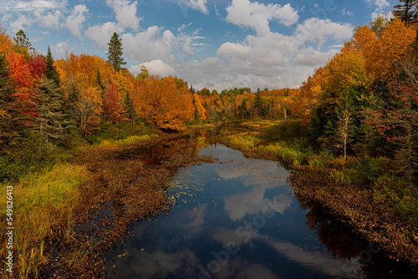 Obraz Northwoods Fall Color