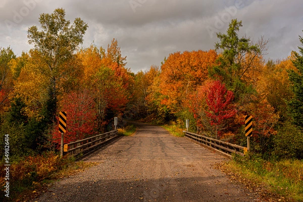 Obraz Northwoods Fall Color
