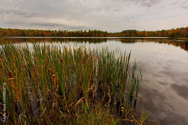 Obraz Northwoods Fall Color