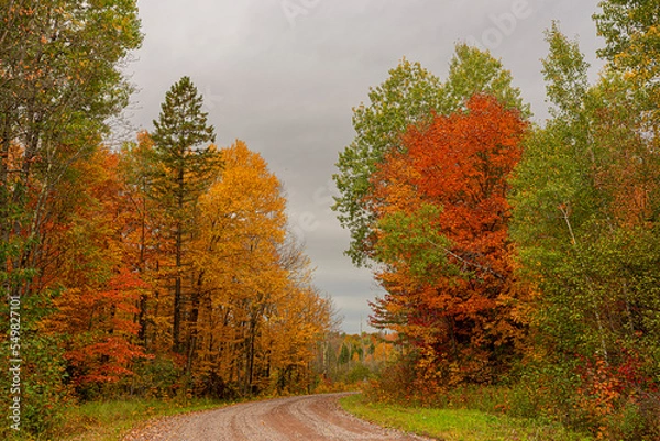 Obraz Northwoods Fall Color