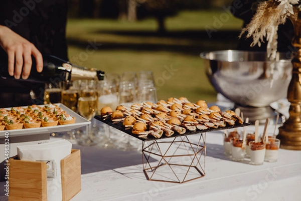 Obraz Buffet apéritif de mariage