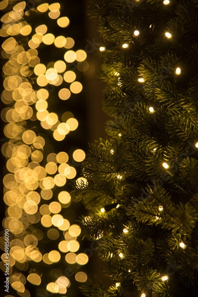 Obraz christmas tree lights