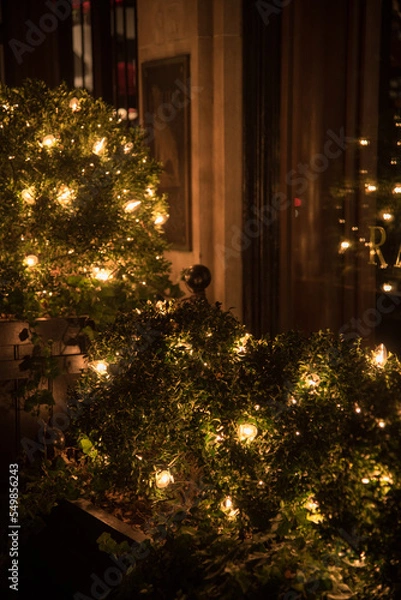 Obraz christmas tree lights