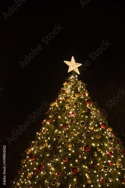 Obraz christmas tree with lights