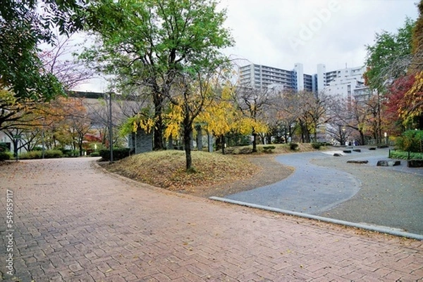 Fototapeta 秋の東品川海上公園