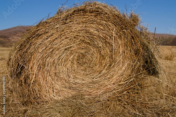 Obraz A stack of hay