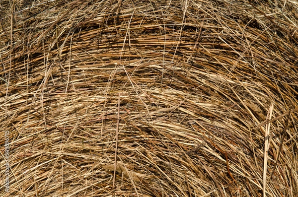 Fototapeta A stack of hay