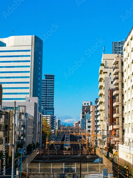 Obraz 遠くの富士山