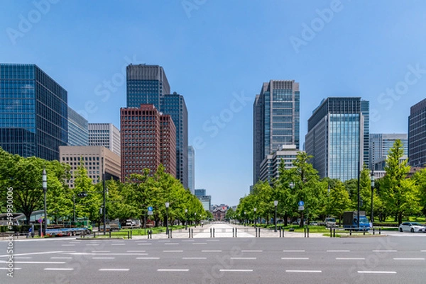 Obraz 東京　行幸通り