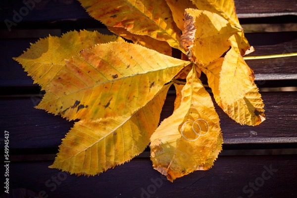 Obraz Hochzeitsringe auf Herbstblatt