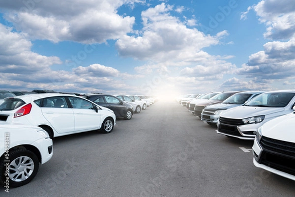 Fototapeta A lot of cars in a rows. Used car sales