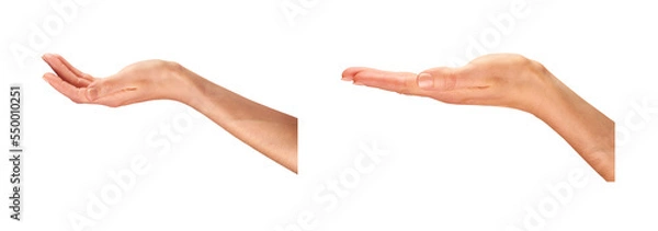 Obraz Female, women's hands, palms facing up as if holding something isolated against a transparent background.
