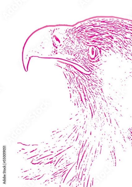 Fototapeta illustration of a bird .Eagle illustration Image .Eagle Vectors & Illustrations .Eagle Vector Art