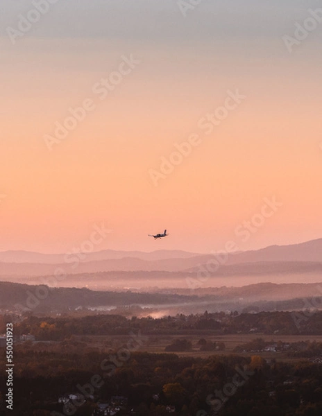 Obraz Evening flying