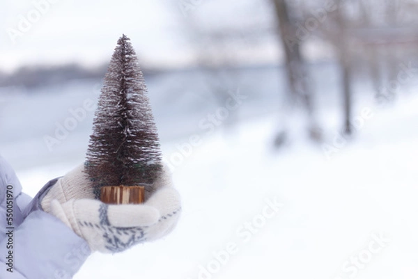 Fototapeta snow covered tree
