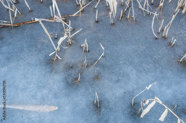 Fototapeta 	真冬に池が凍った景色　