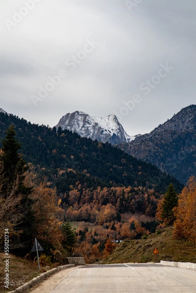 Obraz mountain road in the mountains